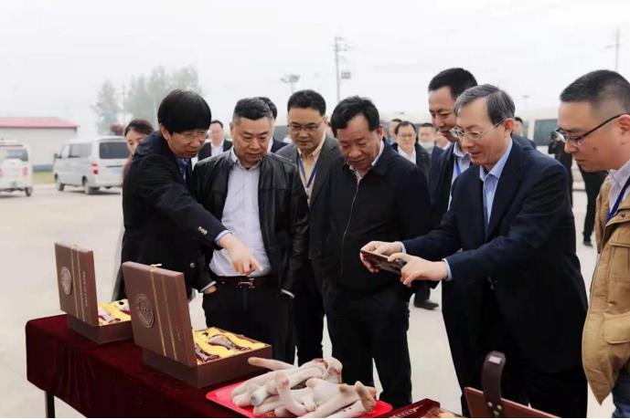 道地龜鹿膠，共謀藍(lán)海丨醫(yī)藥界名流大咖在古城新蔡干了件大事！