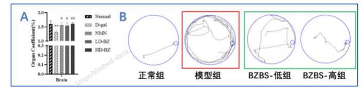 以嶺藥業(yè)八子補(bǔ)腎膠囊抗衰老研究取得重大進(jìn)展