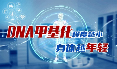 只需8周，年輕3歲？最新研究發(fā)現(xiàn)，改變DNA甲基化或能逆轉(zhuǎn)衰老