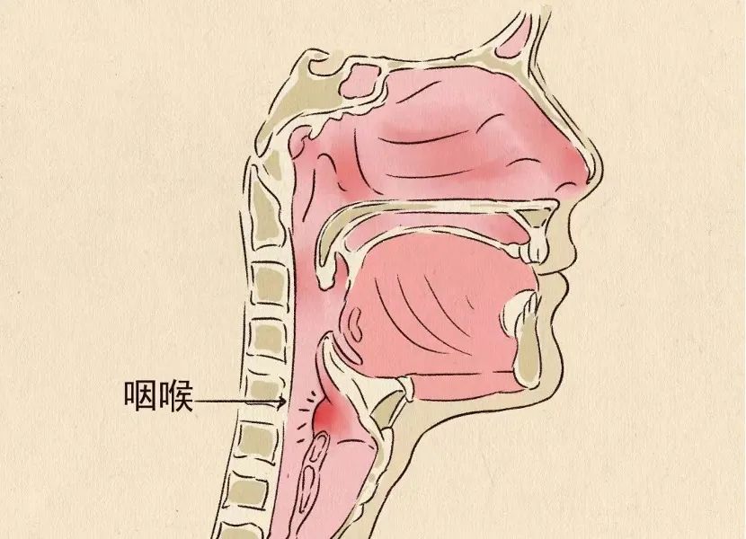 哪三種癥狀可以服用連花清瘟？中醫(yī)教你用連花清瘟防疫