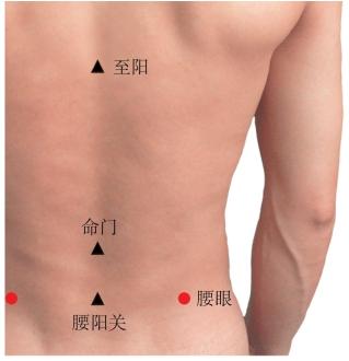 中醫(yī)外治法和冬病夏治的貼膏科學(xué)用法