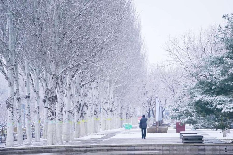 小雪后的氣溫?cái)嘌率较碌Ｅ耐瑫r(shí)也別忘記備好京萬紅