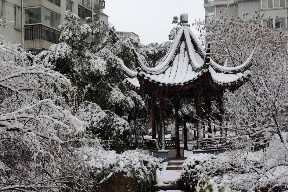 寒潮接連來襲，南方初雪上線，備上京萬紅不被凍瘡支配