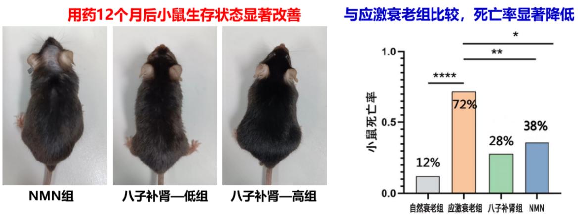 中藥抗衰成果登上國際期刊，或攻克西方科研難題